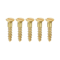 Miniatyrbillede 1 af 5: Træskruer M2 X 10mm Slids Flat Head Messing Selvborende Skruer 100 Stk