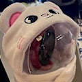 Miniatyrbilde 3 av 4: Kpop Stray Kids Lysstav-Plushdeksel Skzoo Konsert Lysdeksel Dukketilbehør Kappe Hatt Lampekule Fans Samling Gave [DB] F