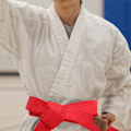 Pikkukuva 3 / 3: 6 kpl Karatevyöt Moniväriset Puuvilla Taekwondo Vyöt Ammattimainen Kamppailulajivyöt [db] 220X4X0.5CM