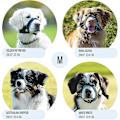 Miniatyrbillede 3 af 5: Skånsom mundkurv til hunde - Forebygger bid og uønsket tygning sikkert og komfortabelt - Blød neoprenpolstring, ingen gnidninger Inkluderet [DB] Blue XS