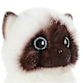 Miniatyrbilde 5 av 5: Søt Ragdoll Katt Plysj Stoffdyr [DB] 26cm