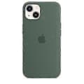 Silikonskal med Magsafe för iPhone 13 Mini Skal [DB] Eucalyptus