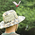Pikkukuva 3 / 3: (3 kpl) Dragonfly Wingman Clip-On Luonnollinen ja Orgaaninen Konsepti Hirvi- ja Hevoskärpästen Torjunta-aine, 100% Uusi DB
