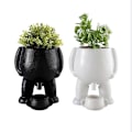Miniatyrbild 1 av 3: Kissande Växtkruka Succulent Planter, Rolig Planterkruka Vas för Utomhus Inomhusväxter, Trädgårdsdekoration Nyhet Present [DB] White