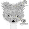 Miniatyrbilde 4 av 5: Falsk pels revhale katt ulv cosplay kostyme sett plusj maske fluffy potehansker Halloween jul DB Dark Gray
