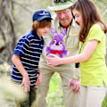 Miniatyrbilde 5 av 5: Fnaf Plushies Five Nights At Freddys Plushies 4 Pcsfoxy Freddy Fazbear Bonnie Chica Gaver Til Five Nights Game Fans & Kids Gaver 7in/20cm [DB]