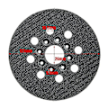 Miniatyrbillede 4 af 5: 5 tommer slibeplade med velcro 125 mm til Bosch GEX 125-1 AE, PEX 220 A, PEX 220 AE [DB]