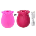 Miniatyrbilde 1 av 5: Roseleke for kvinner, Roseleke for kvinner Db Rose red