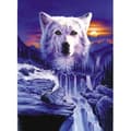 DIY 5D Full Diamond Painting Kit, 3D Korsstygnsbroderi, Heminredning[DB] as shown
