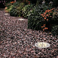 Miniatyrbillede 4 af 5: Solcelle-Jordlamper, 8 Solcelle-LED Udendørslamper, Haveganglamper, Udendørslamper, Jordlamper, Vandtætte, Solcelle-Landskabslamper