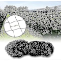 Pikkukuva 2 / 5: 15mX15m Linnunsuojaverkko Kasviverkko Lampiverkko Puutarhaverkko Puutarhaan, 5X5cm Reiät [DB]