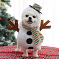 Miniatyrbild 2 av 4: Jultomte Snögubbe Husdjursdräkt$hund Snögubbe Dräkt$hund Julkläder Semester Hund Katt Husdjur För Jul Cosplay Husdjurskläder [DB] M  within 4-8 kg