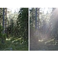 Miniatyrbild 2 av 2: EW-78E motljusskydd / lens hood svart