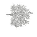 Miniatyrbild 1 av 2: Litet silvrigt löv Silver