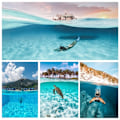 Miniatyrbilde 4 av 9: Vanntett etui hus For Gopro Hero 5 6 7 8 9 10 11 Trigger Dome Deksel Lens Tilbehør
