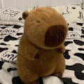 Miniatyrbillede 3 af 6: Capybara Plush Simulering Capibara Anime Fluffty Toy Kawaii Plushie Sød Dukke Udstoppede Dyr Blød Dukke