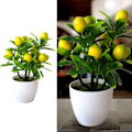 Miniatyrbild 5 av 5: Konstgjord citron träd 18cm*24cm konstgjord kruka blommor falsk falsk växt