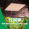 Pikkukuva 2 / 6: LED Grow Light Full Spectrum Phyto lamppu