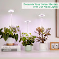 Miniatyrbild 2 av 7: USB Angel Ring Grow Light Phytolamp for plants with Control Full Spectrum Fitolamp Lights