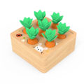 Miniatyrbillede 1 af 6: Montessori Træ Baby Legetøj Sæt Trække Gulerod Form Matchende Størrelse Kognition Montessori Uddannelseslegetøj