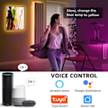 Miniatyrbillede 6 af 11: Stue Værelse Dæmpbar Hjørne Gulv Lampe 150cm Stativ Tuya Smart RGB LED Humør Lys