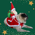 Miniatyrbild 2 av 8: Funky Djur Hund Katt Julkostym Hund Vinter Huvtröja Kläder Kläder Jul Halloween Fest Husdjur Klänning