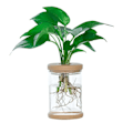 Miniatyrbild 4 av 7: Mini Hydroponic Blomster Kruka Hem Vas Dekor Transparent Imitation Glas Smällfri Växt Krukor