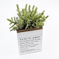 Miniatyrbild 2 av 7: 6 bitar konstgjorda växter jul träd bröllop hem inredning tillbehör dekorativa blommor kransar