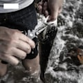 Miniatyrbilde 4 av 6: Rustfritt stål Fiske Tang Flette Kutter Crimper krok Fjerner Saltvannsbestandig Fiske redskap verktøy