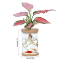 Miniatyrbild 1 av 7: Mini Hydroponic Blomster Kruka Hem Vas Dekor Transparent Imitation Glas Smällfri Växt Krukor