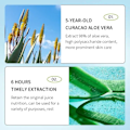 Miniatyrbilde 6 av 6: Ansikt Eksfolierende Gel Aloe Vera Ansiktsbehandling Eksfolierende Skrubb Renser Hviting Acne Svarthode Behandling