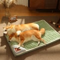 Miniatyrbillede 5 af 6: Vinter hund måtte luksus indlæg hunde plaid seng til katte hunde