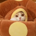 Miniatyrbild 4 av 6: Creative Cat Bed Tunnel Fallbar Luftskepp Format Husdjur Interaktiva Lek leksaker