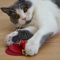 Miniatyrbild 4 av 6: Helt automatisk intelligent retande katt liten guldfisk leksak själv hej artefakt husdjur smart leksak