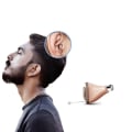 Miniatyrbillede 2 af 8: Invisible Hearing Aids Sub Brand Channels Digital Hearing Aid Mobil Phone APP Program Fitting
