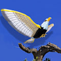 Pikkukuva 4 / 7: Simulaatio Elektroniikka Kotka Valoisa Lintu Karkottava Rippuva Kotka Musiikin kanssa&light Lentävä Bird