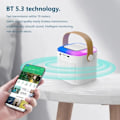 Miniatyrbilde 3 av 11: Mikrofon Karaoke Maskin Bærbar Bluetooth 5.3 PA Høyttaler System med 1-2 Trådløse mikrofoner