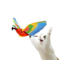 Miniatyrbild 1 av 11: 2 bitar Simulering Fågel Interaktiv Katt Leksaker Elektrisk Hängande Örn Flygande Fågel Katt Teasing Lek Katt Käpp Krata Rep Djur leksaker