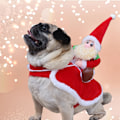 Miniatyrbild 3 av 8: Funky Djur Hund Katt Julkostym Hund Vinter Huvtröja Kläder Kläder Jul Halloween Fest Husdjur Klänning
