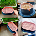 Miniatyrbillede 5 af 7: Kæledyr kat spire fad dyrkning potte hydroponisk plante kat græs spiring fordøjelse starter fad drivhus grow box