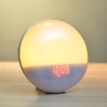 Miniatyrbilde 4 av 7: Wake Up Light Alarm Clock Dobbel Alarmer FM Radio