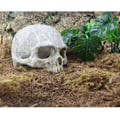 Miniatyrbillede 6 af 6: Harpiks påske ø hoved knogle kranie statue for øgler terrarium krybdyr skjul hule akvarie