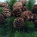 Miniatyrbilde 3 av 7: 10 stk 3CM  Naturlig Billig Mini furu nøtter Kunstig Fask frukt grønnsak til hjemmet pynt jule tre pynt