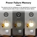 Pikkukuva 3 / 8: WiFi Smart Plug 16A/20A EU Smart Socket Jos virta valvonta ajoitus toiminto ääni ohjaus