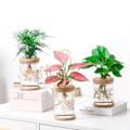 Miniatyrbild 5 av 7: Mini Hydroponic Blomster Kruka Hem Vas Dekor Transparent Imitation Glas Smällfri Växt Krukor