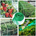 Miniatyrbilde 5 av 8: Hage netting grønn vevd nett beskytt planter frukt blomster trær stretch gjerde holdbart nett