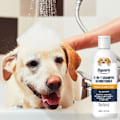 Pikkukuva 6 / 7: Koiran shampoo ja hoitoaine 2 1 lemmikki suihku geeli kosteuttava koiran shampoo
