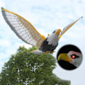 Pikkukuva 5 / 7: Simulaatio Elektroniikka Kotka Valoisa Lintu Karkottava Rippuva Kotka Musiikin kanssa&light Lentävä Bird