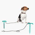 Miniatyrbillede 3 af 4: Kæledyr Hunde legetøj Hund bolde Snor Sæt Udedørs Hund Hund Elastik Reb bold Kombineret legetøj Kæledyr Hund