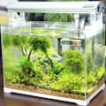 Miniatyrbillede 4 af 5: LCD Digital Akvarie Termometer